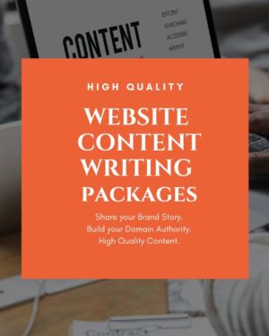 website content writing packages in india