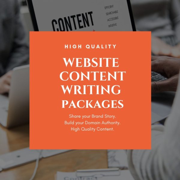 website content writing packages in india