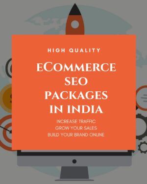 ecommerce website seo packages
