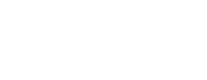 Lumax client of web development company in gurgaon