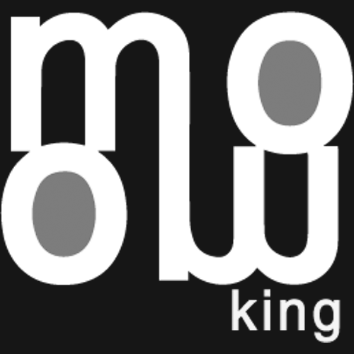 mowo king client of affordable web designing & development service in gurgaon