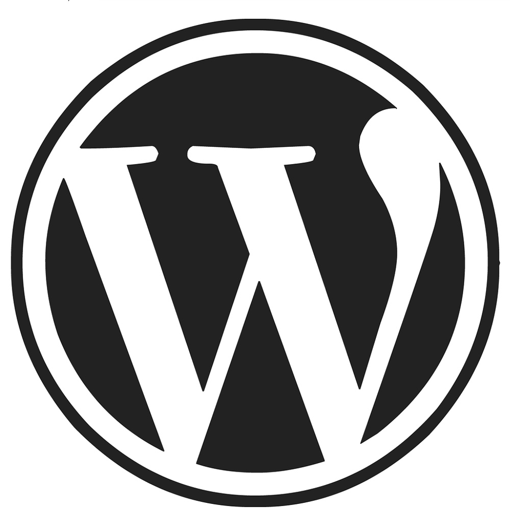 wordpress best web development company in gurgaon