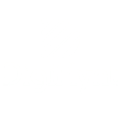 Digiflynt client of website content writing services India