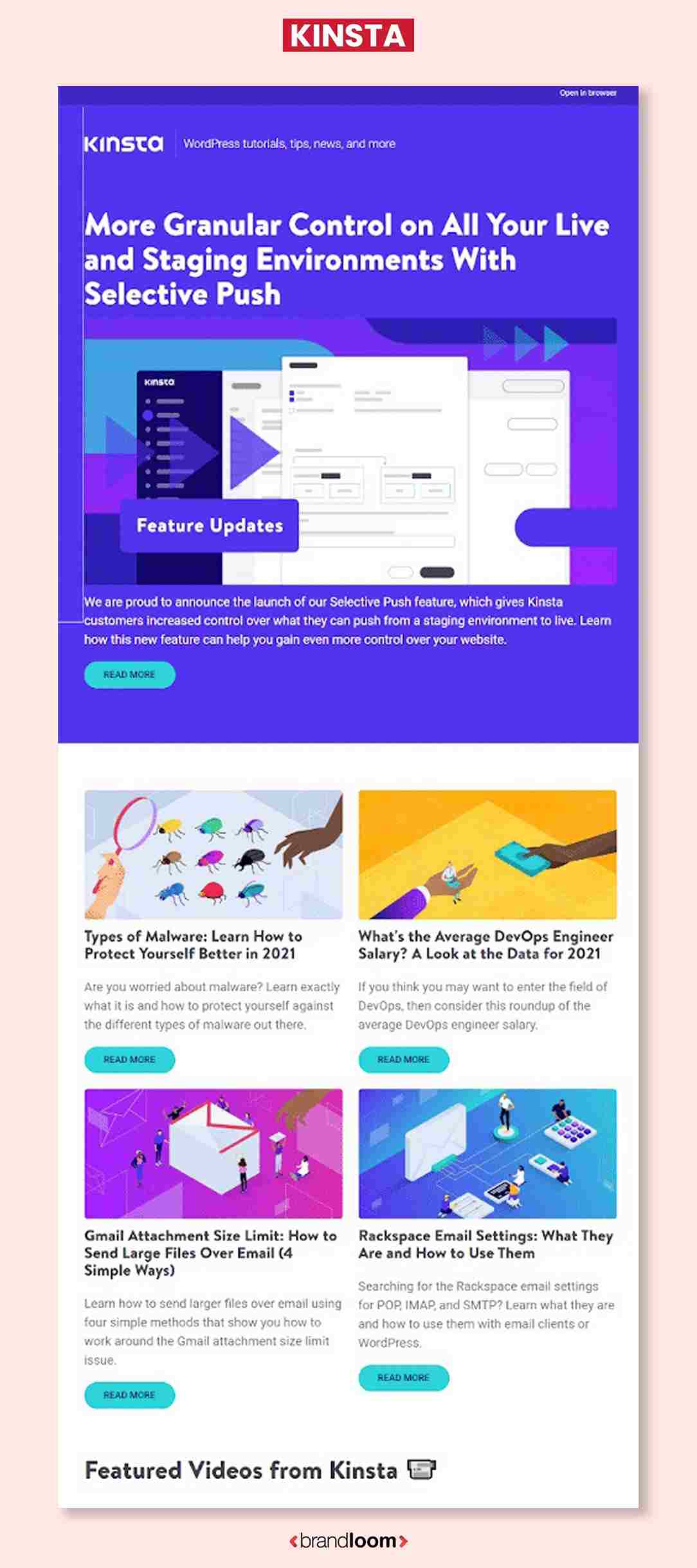 Kinsta - Informational Newsletter Design