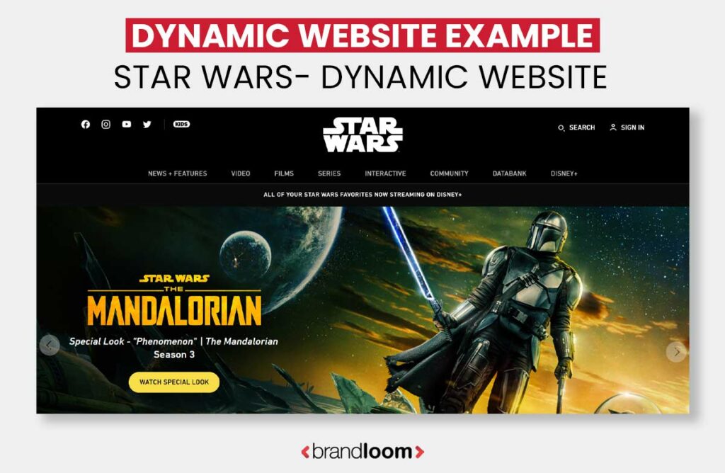 Example of Dynamic Websites