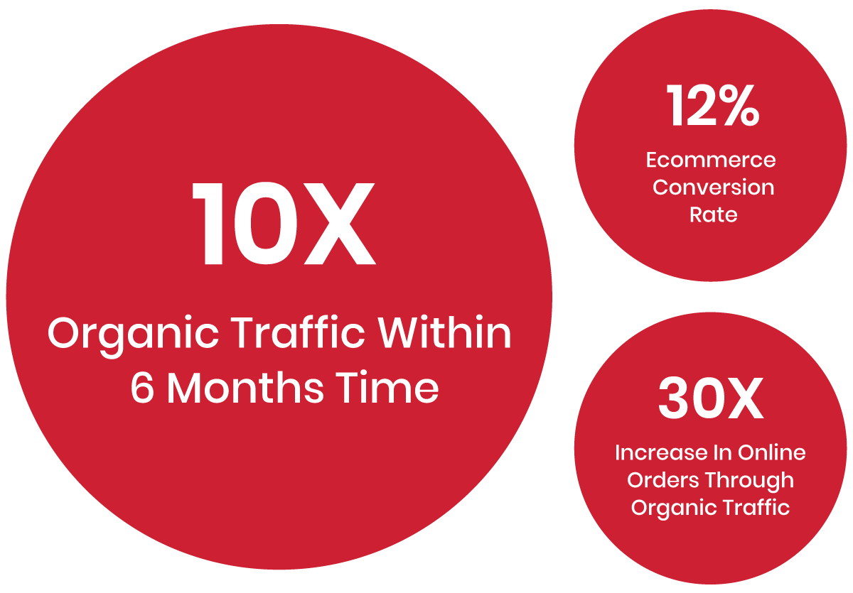 SEO Naturaltein case study