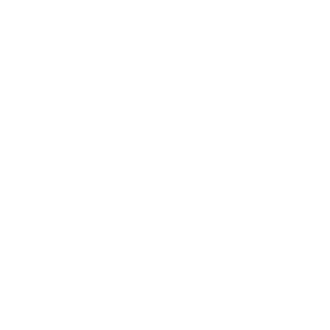 Client of best social marketing company-Reifenhauser