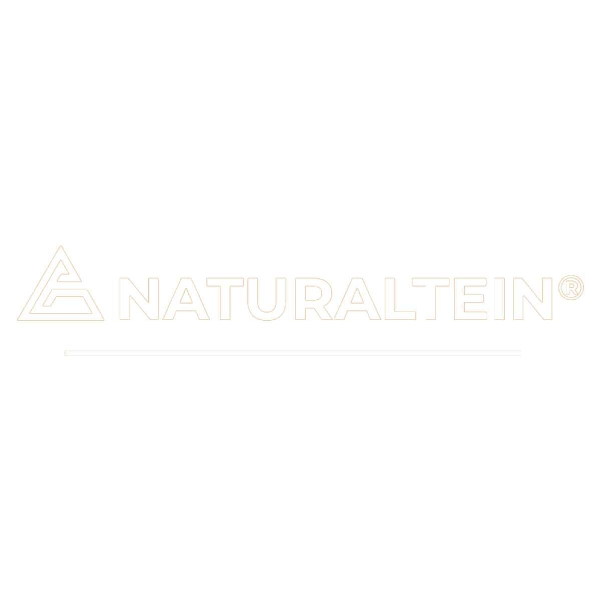 SEO company in Delhi work for NATURALTEIN logo