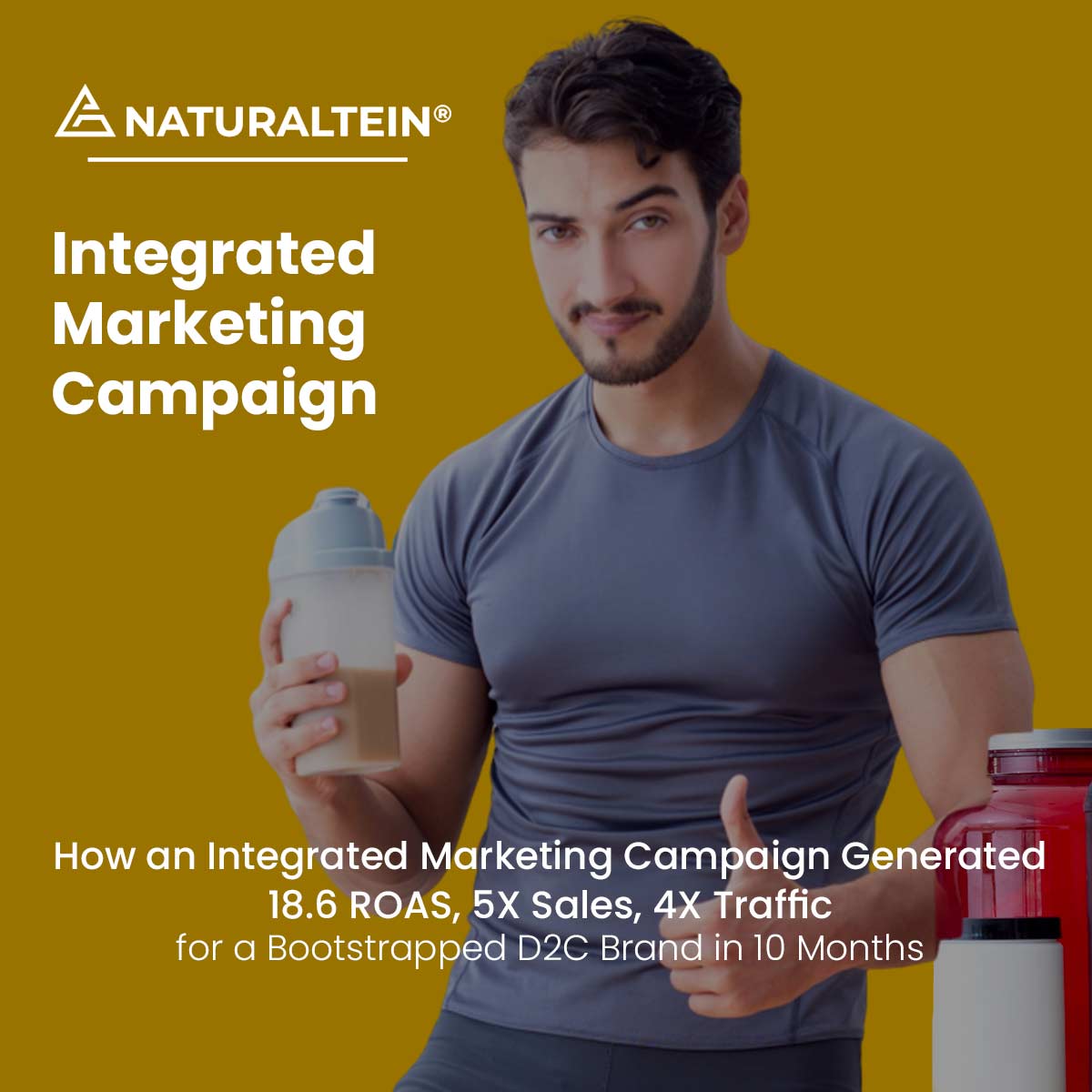 Naturaltein Best Integrated Marketing Campaign case study