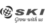SKI Capital - BrandLoom Client Leading Financial Services Provider