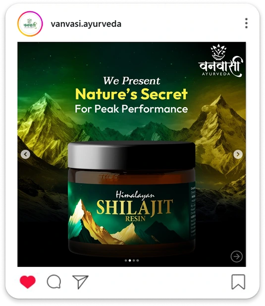 Vanvasi Ayurveda Himalayan Shilajit resin nature’s secret Instagram post by BrandLoom