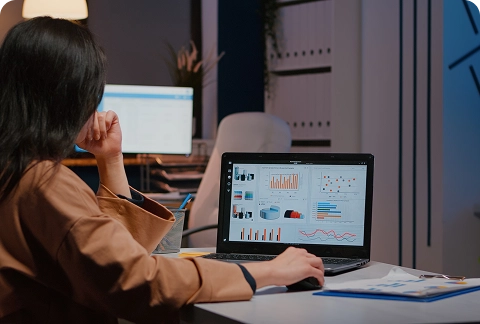 BrandLoom’s Facebook retargeting strategy with Performance Reporting BrandLoom’s Facebook retargeting strategy with Performance Reporting