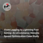 BrandLoom eCommerce website speed optimization case study for Wall Curry improving page speed and Core Web Vitals