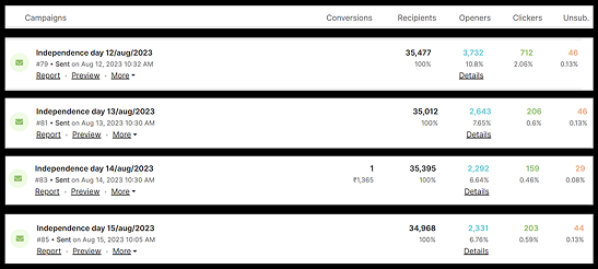 Email campaign performance reports for Independence Day sale showing engagement and conversions Email campaign performance reports for Independence Day sale showing engagement and conversions